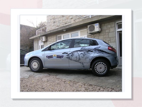 Oslikavanje osobnih automobila