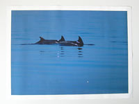 Ispis fotografija na umjetničkom platnu